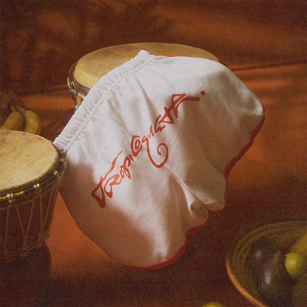 Tropicoqueta Shorts - Image 3